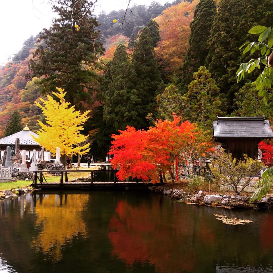 今年は遅め まもなく紅葉が見頃となる季節です 観光旅館 久保治 公式サイト